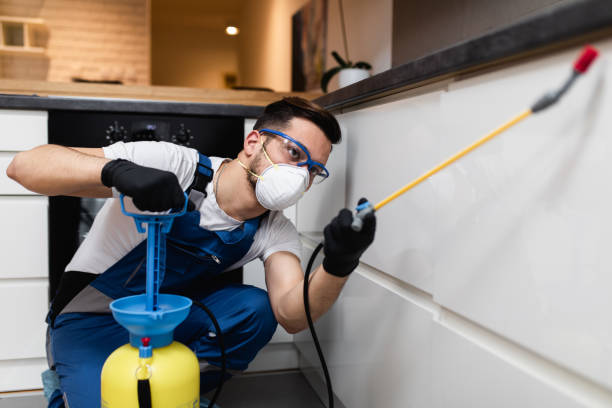 Reliable Northwest Harborcreek, PA Pest Control Solutions
