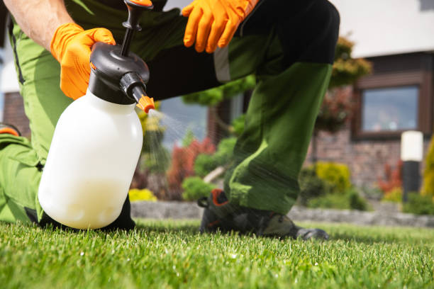 Best Mosquito Control Services  in Northwest Harborcreek, PA
