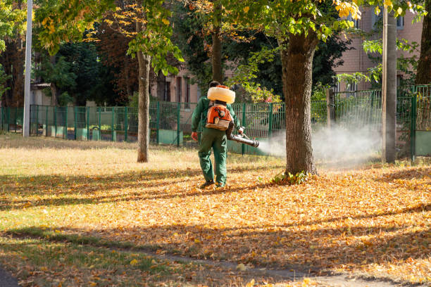 Best Spider Control Near Me  in Northwest Harborcreek, PA