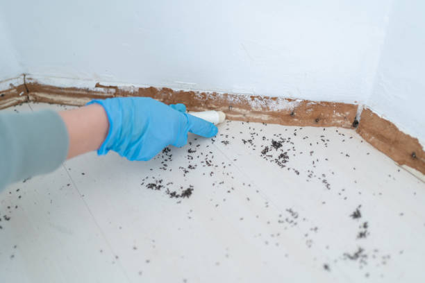 Best Commercial Pest Control Services  in Northwest Harborcreek, PA