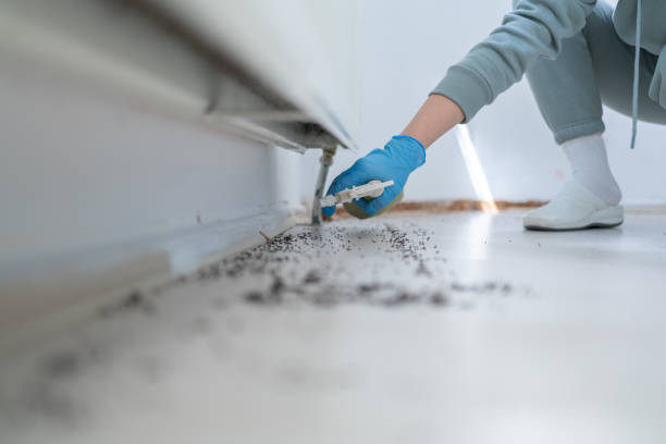 Best Best Pest Control Companies  in Northwest Harborcreek, PA