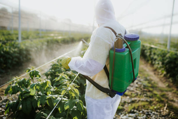 Best Pest Prevention Services  in Northwest Harborcreek, PA